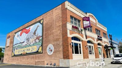 Bothell WA Car Insurance Your Guide