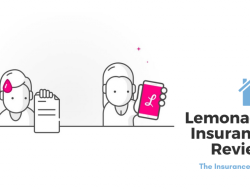 Does Lemonade Offer Homeowners Insurance?