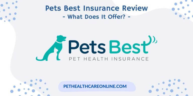 Pet insurance rover parent guide