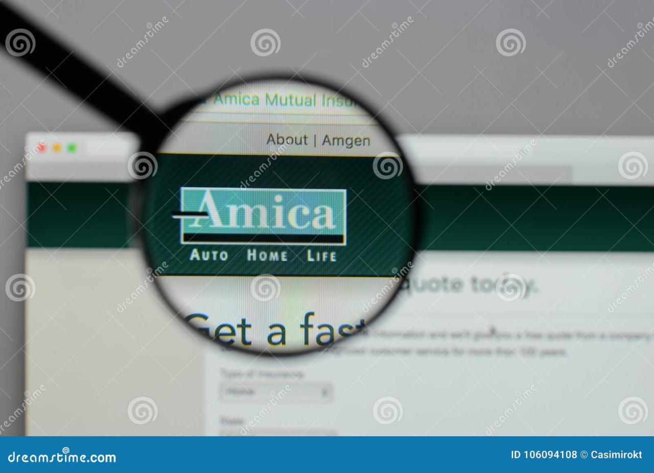 Mutual amica insurance