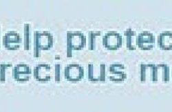 Pets Best Insurance Review A Comprehensive Guide