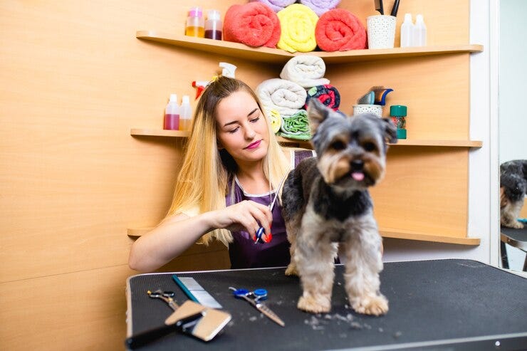 Affordable pet grooming near me