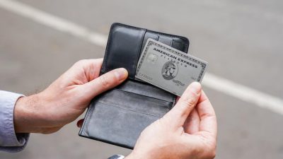 amex decision Insights into Translation Evolution