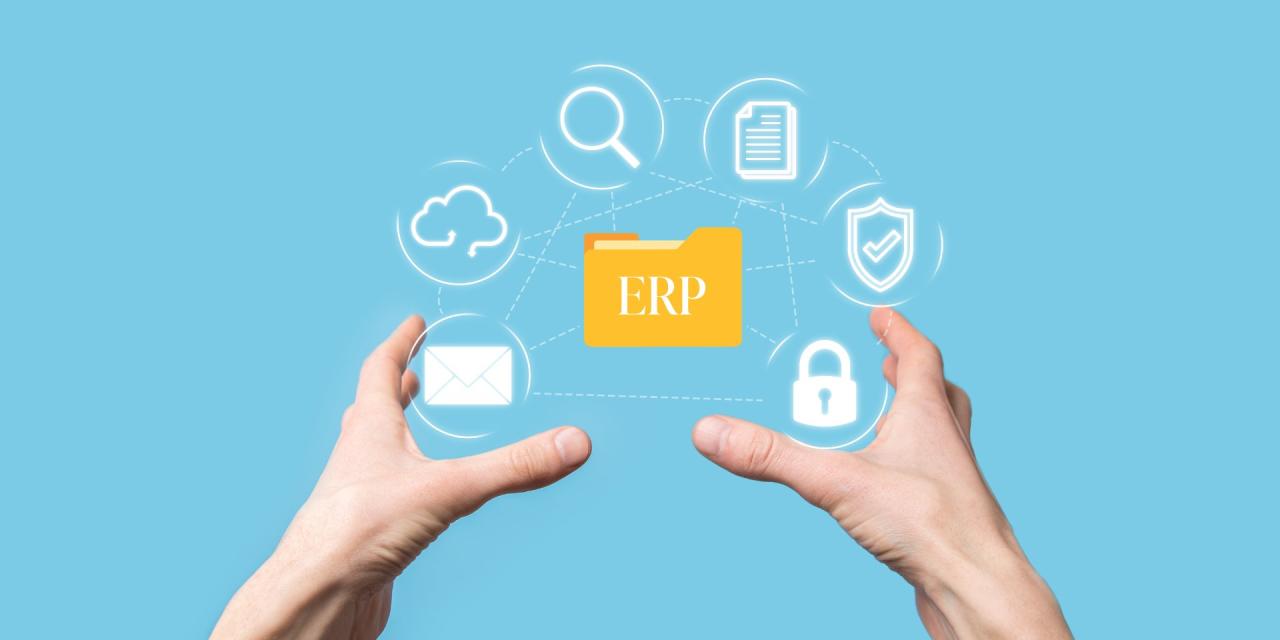 Erp electronic