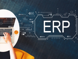 Enterprise Resources Planning System Manager Overview