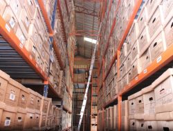 Off-site record storage cost reduction strategies revealed