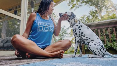 Pets Best Essential Wellness vs Best Wellness