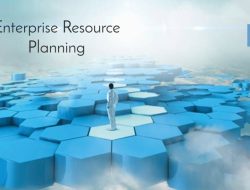 Professional Services Enterprise Resource Planning Insights