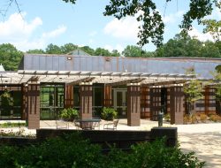 Ageless Mens Health Oxford MS Your Guide