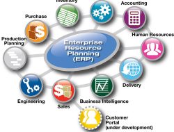 Enterprise Resources Planning System Manager Overview