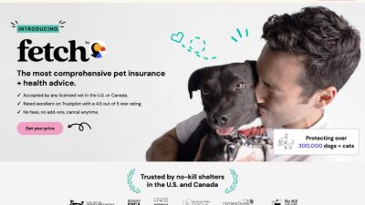 Pets Best vs Fetch Pet Insurance A Detailed Comparison