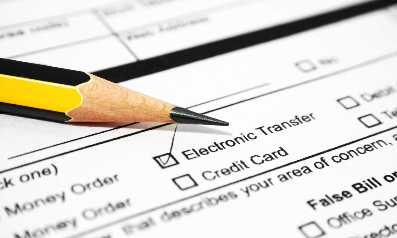 Accept electronic check payments