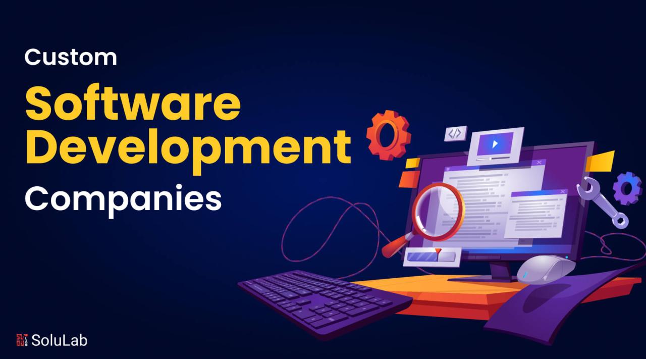 Best Custom Software Development Companies in the USA