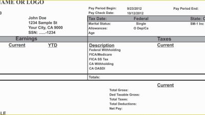 Electronic Check Stubs Streamline Your Payments
