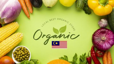 Organic Zoo Clothing Sustainable Style for Your Pet