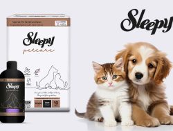 Pet Care Products That Transform Your Pets Life