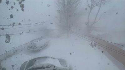 Blizzard Pictures