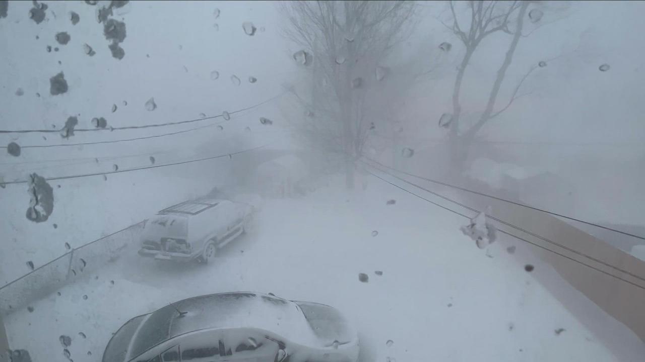 Blizzard Pictures