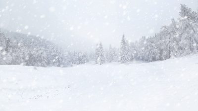 Blizzard Christmas 2024 - Merla Stephie